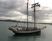 NZ Segelt&ouml;rn in Russel
